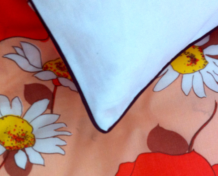 closeup4a